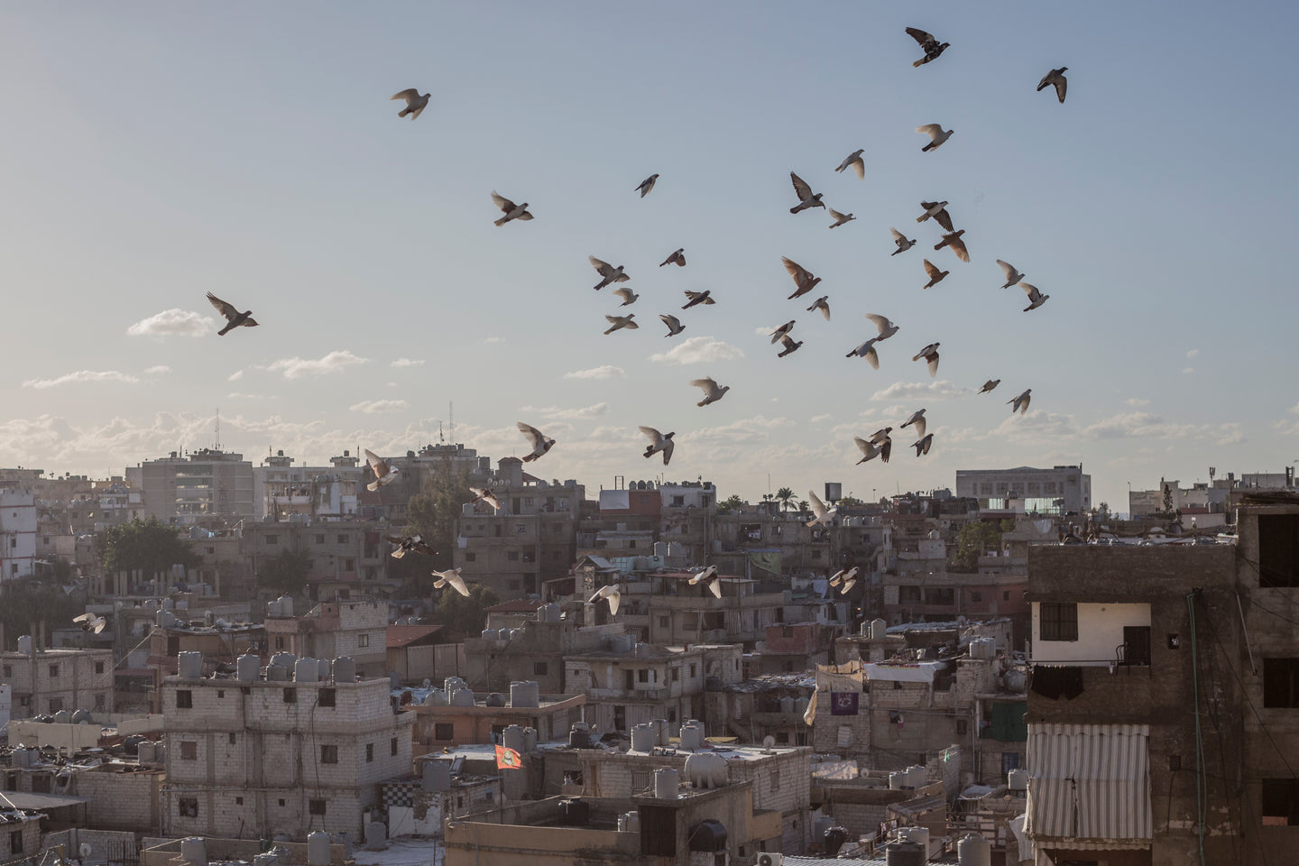 Together For Beirut
