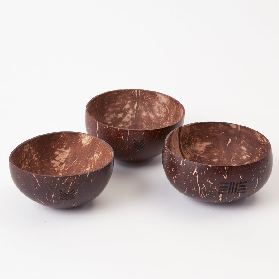 Polished Coconut Bowls